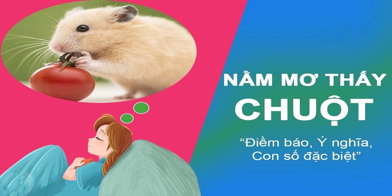 Mơ thấy con chuột số đề đánh số mấy?