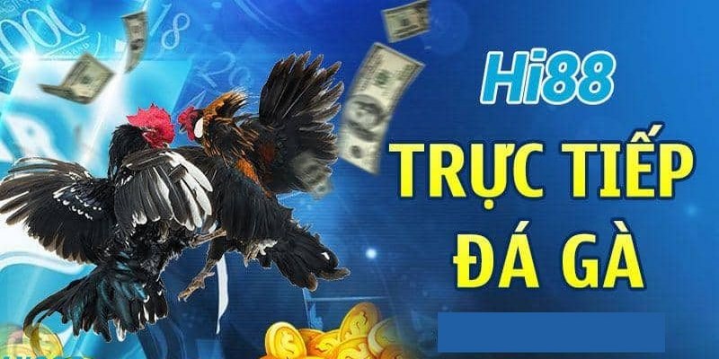 Ưu điểm thanh toán dễ dàng đá gà tại Hi88