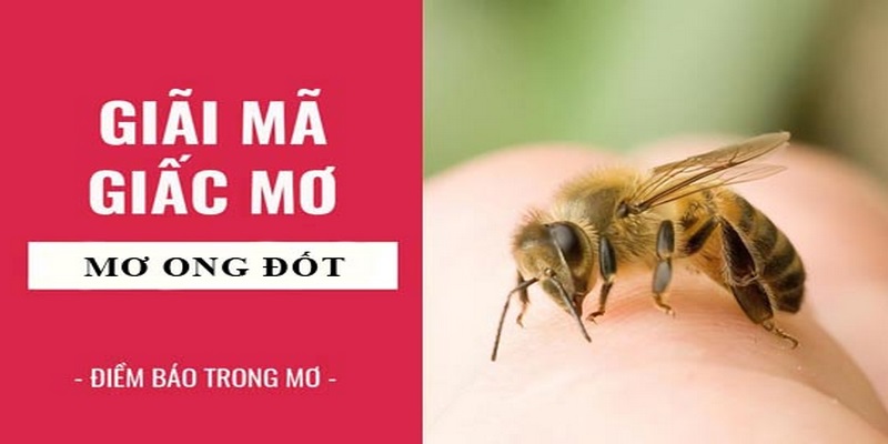 Mộng thấy người yêu bị ong vò vẽ đốt