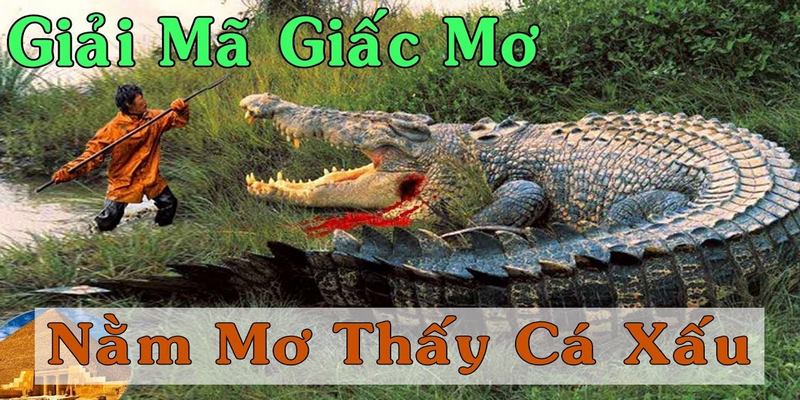 Nằm mơ thấy cá sấu đánh lô đề con gì?