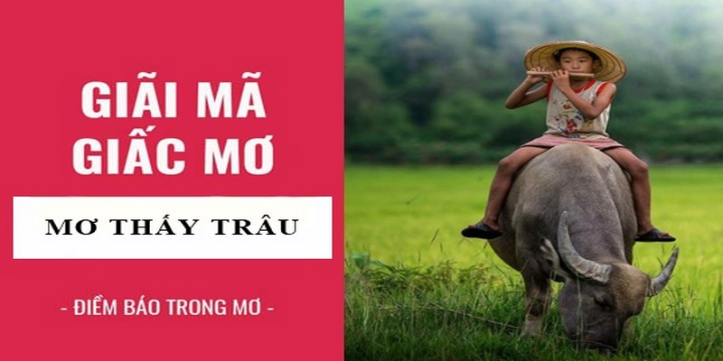 Mơ thấy làm thịt trâu có điềm báo không tốt lành