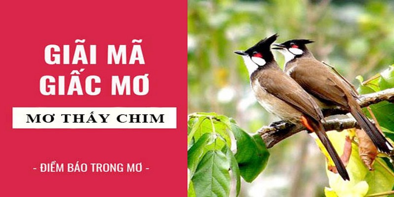 Mơ mình bắt được 2 con chim