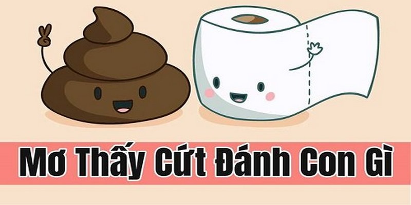 Mơ thấy cứt đánh con gì?