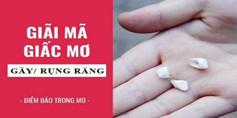 Mơ thấy gãy răng đánh con gì dễ về?