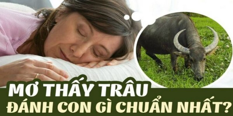 Một số trường hợp đặc biệt liên quan tới giấc mơ thấy con trâu