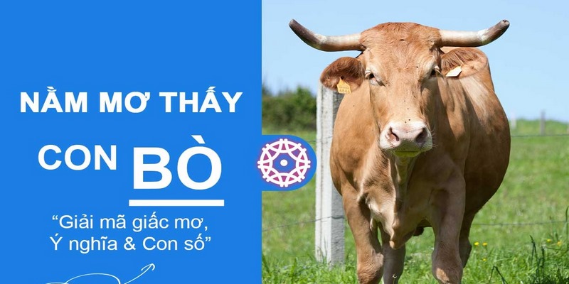 Mơ thấy bị con bò rượt đuổi đánh con gì?