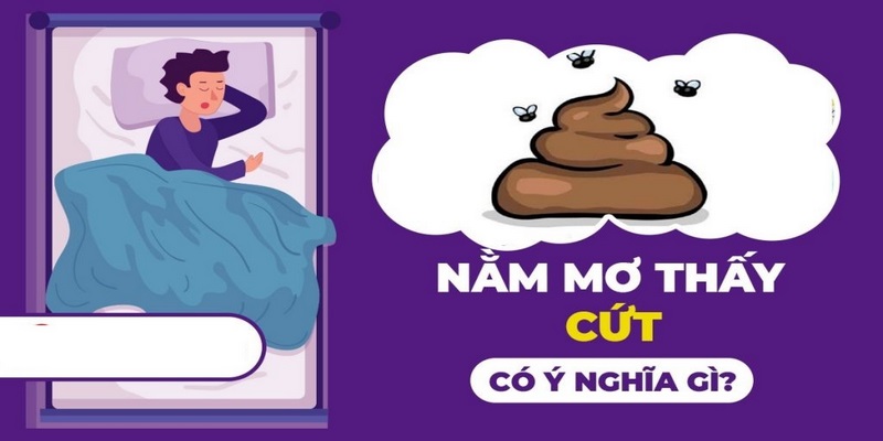 Mơ thấy cứt có điềm báo gì?